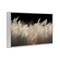 Stupell Industries White Feathers Windblown Grasses Framed Giclee, design by Decent Exposures